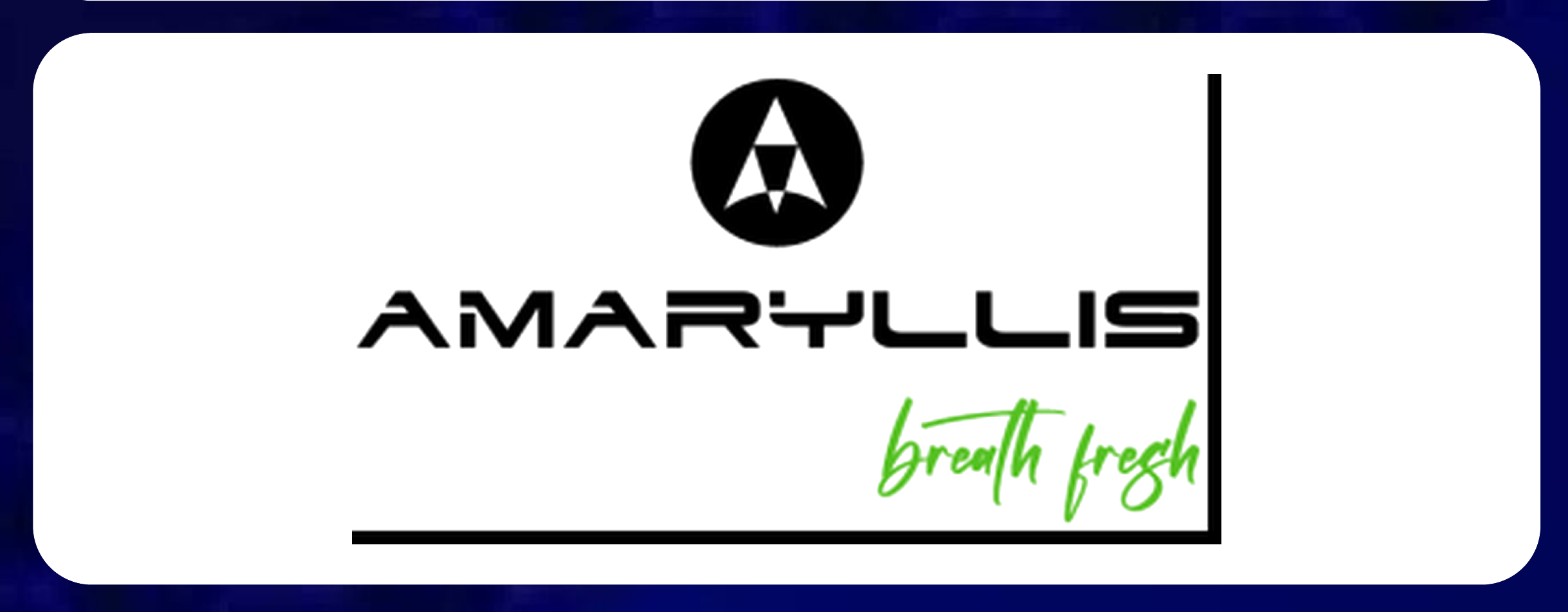 Amaryllis