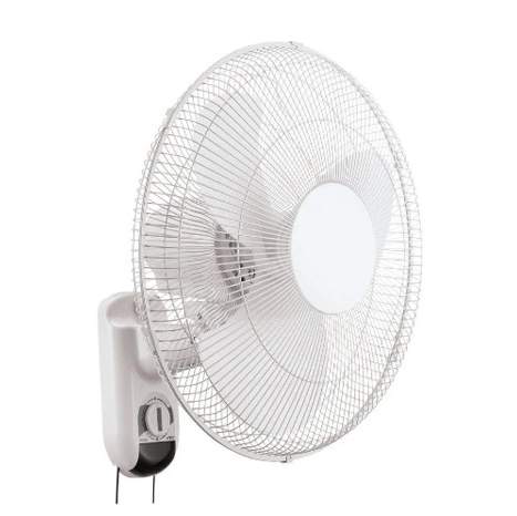 Wall